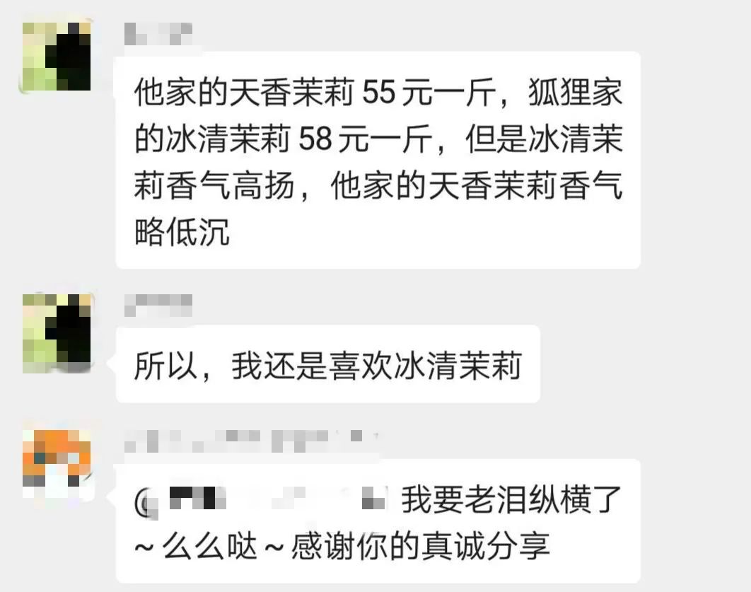 3-茉莉.jpg