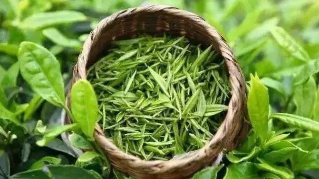 “茶不好喝，我嫁給你！”沖毀三觀的淘寶體茶葉神文案！