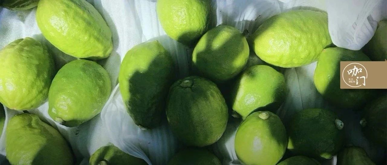 香水檸檬漲價(jià) 倍！檸檬茶最近不好賺錢(qián)了？