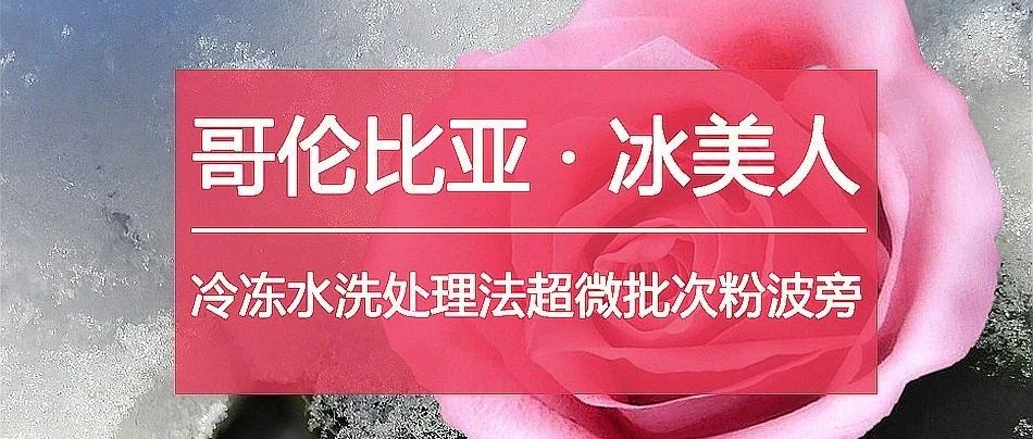 又①甜美好豆上線，光聽名字就心動 :)
