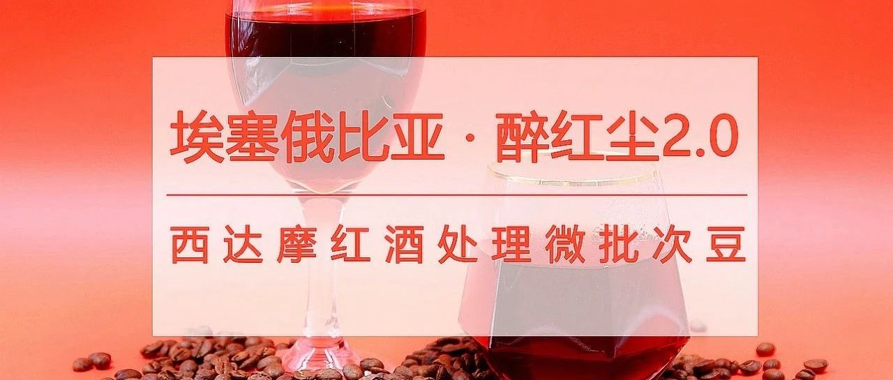爆款酒香豆第包半價，好這口的已入手