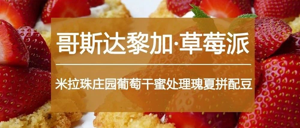 元購瑰夏拼配豆：手沖咖啡控必入手
