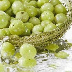 奈雪油柑新品熱賣(mài)，冷門(mén)水果的春天到了？