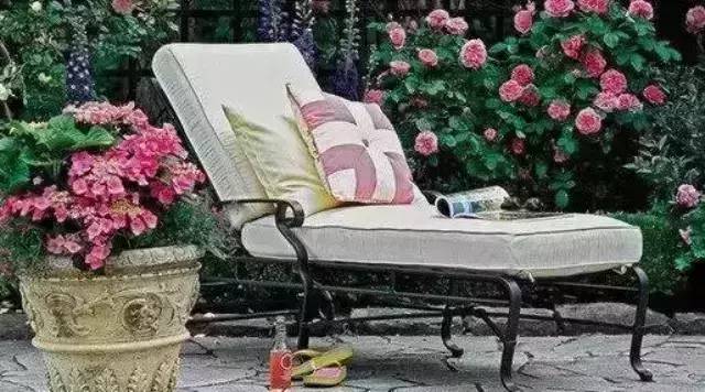今日立春，宜做春夢