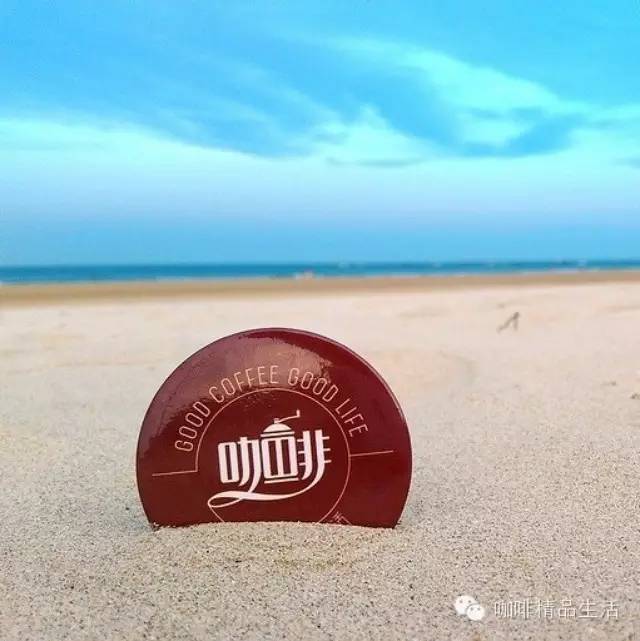 阿啡周末調皮了，跑去翡翠灣看羊駝，畫面太美不敢獨享……