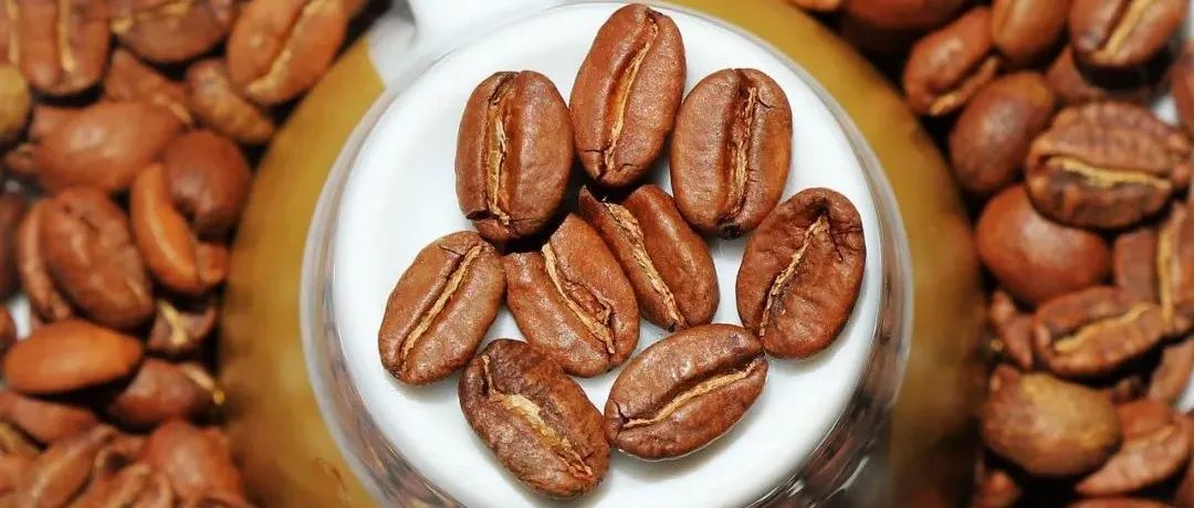 危地馬拉新豆第包半價(jià)>比瑰夏稀有-  爆品搶先購！