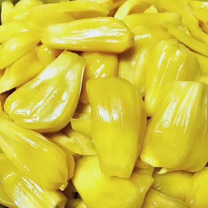 手沖好豆推薦>菠蘿蜜甜香，誰不喜歡？