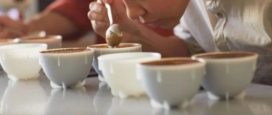 SCA精品咖啡協(xié)會(huì)表示：咖啡風(fēng)味輪和杯測(cè)表將會(huì)有新改革！