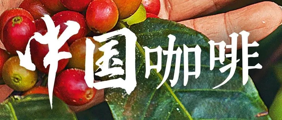 咖啡“入籍”中國，經歷了什么？